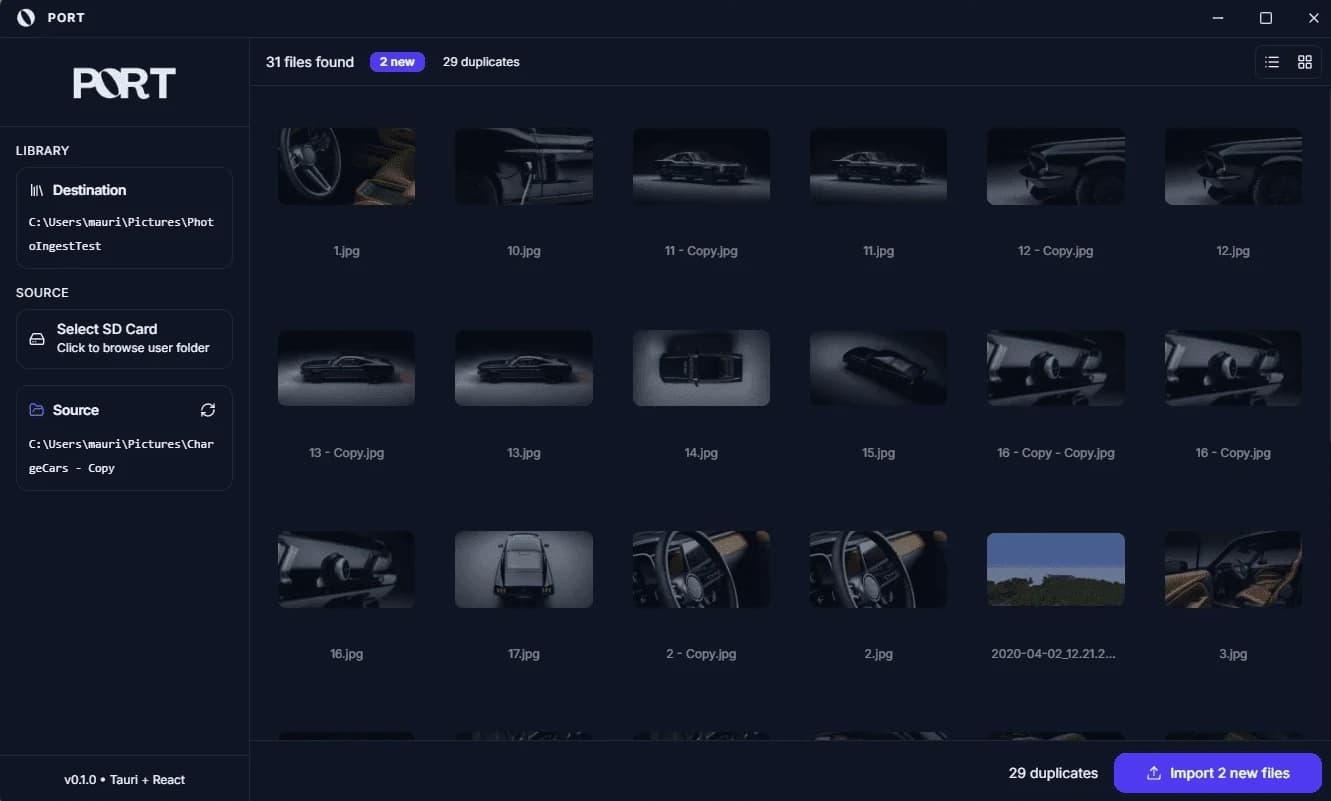 Port's import window showing a grid of camera files and a duplicates counter