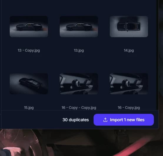 Duplicate files greyed out next to an “Import 1 new files” button